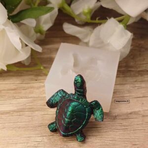 Bonita la tortue