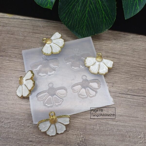 Jolies fleurs