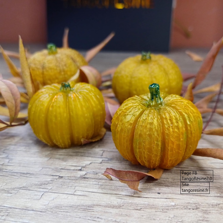 Citrouilles miniatures – Image 4