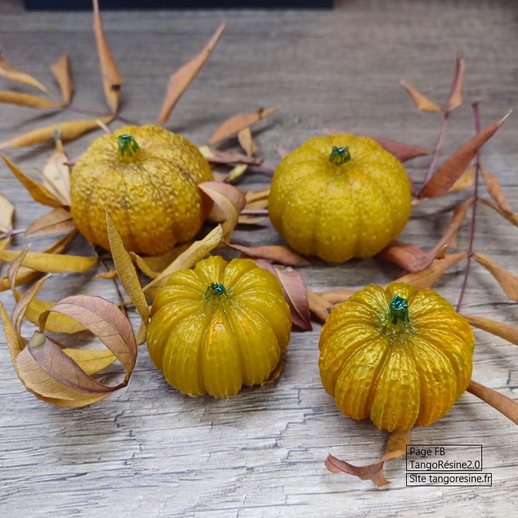 Citrouilles miniatures