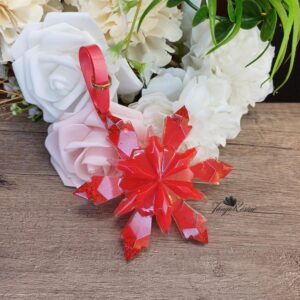 Flocon de neige Étoile d’Hiver