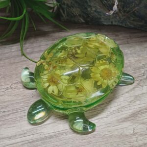 Boite Tortue fleurs séchées.