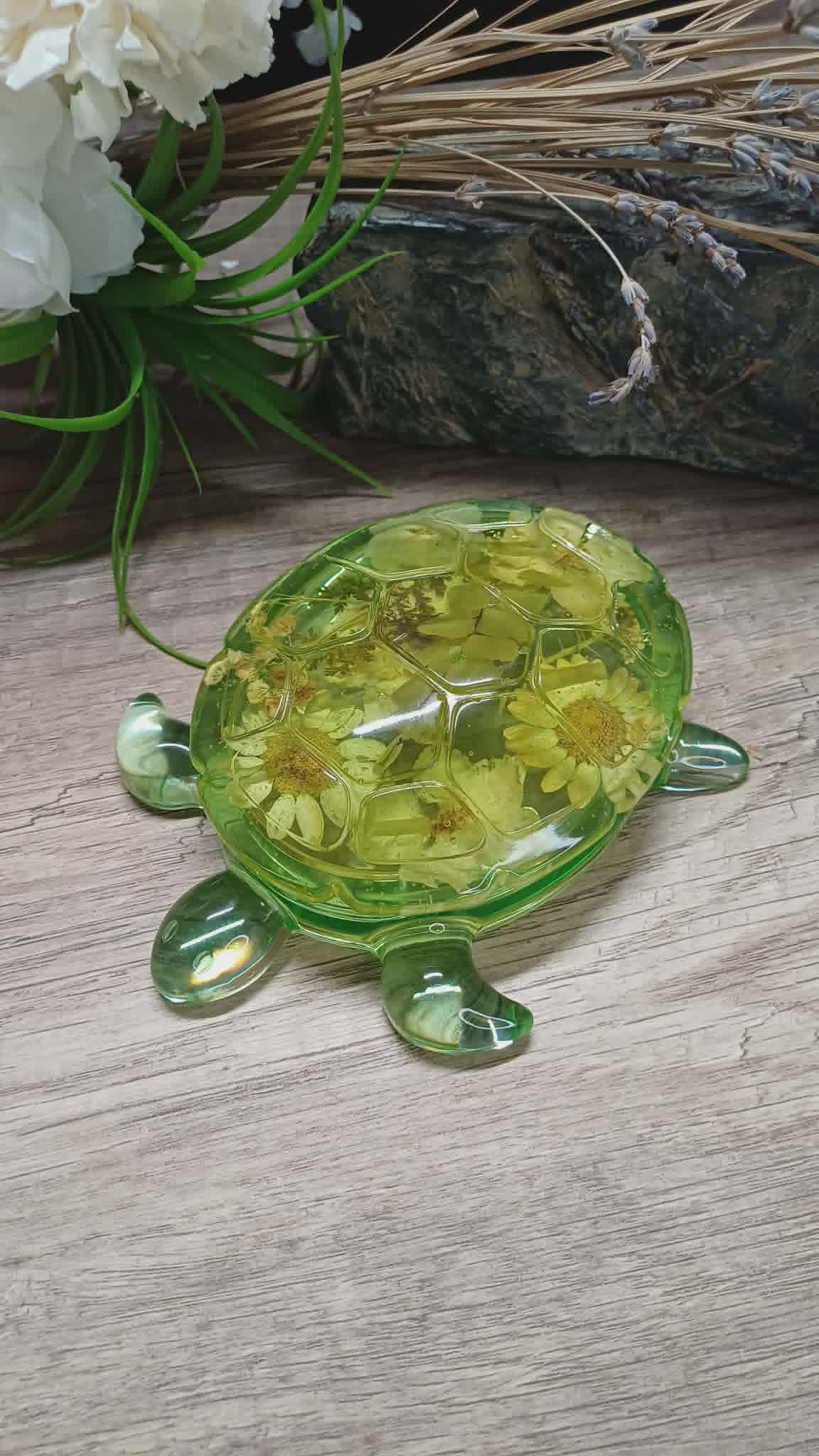 Boite Tortue fleurs séchées.