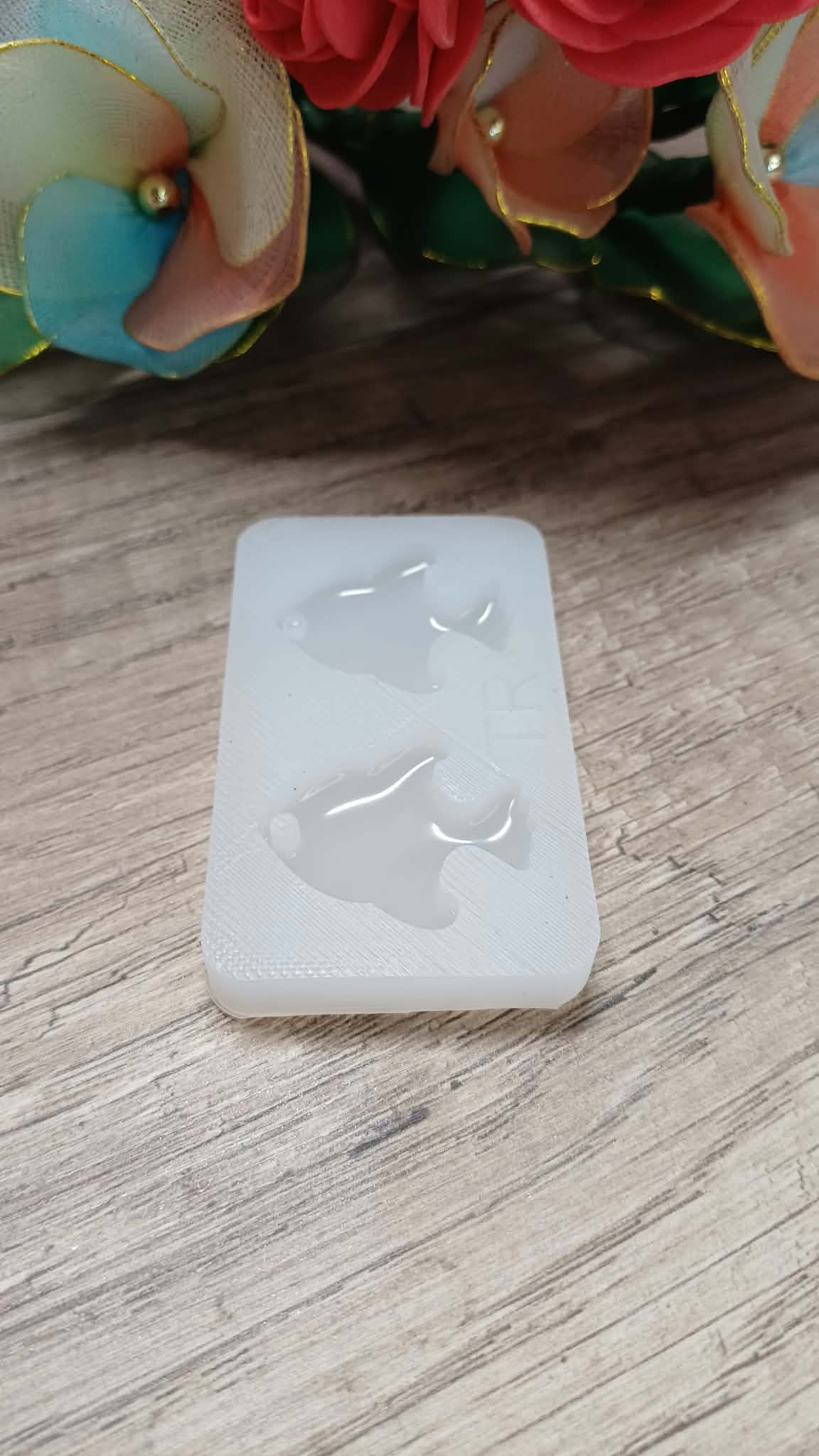 Moule silicone Poissons – Image 2